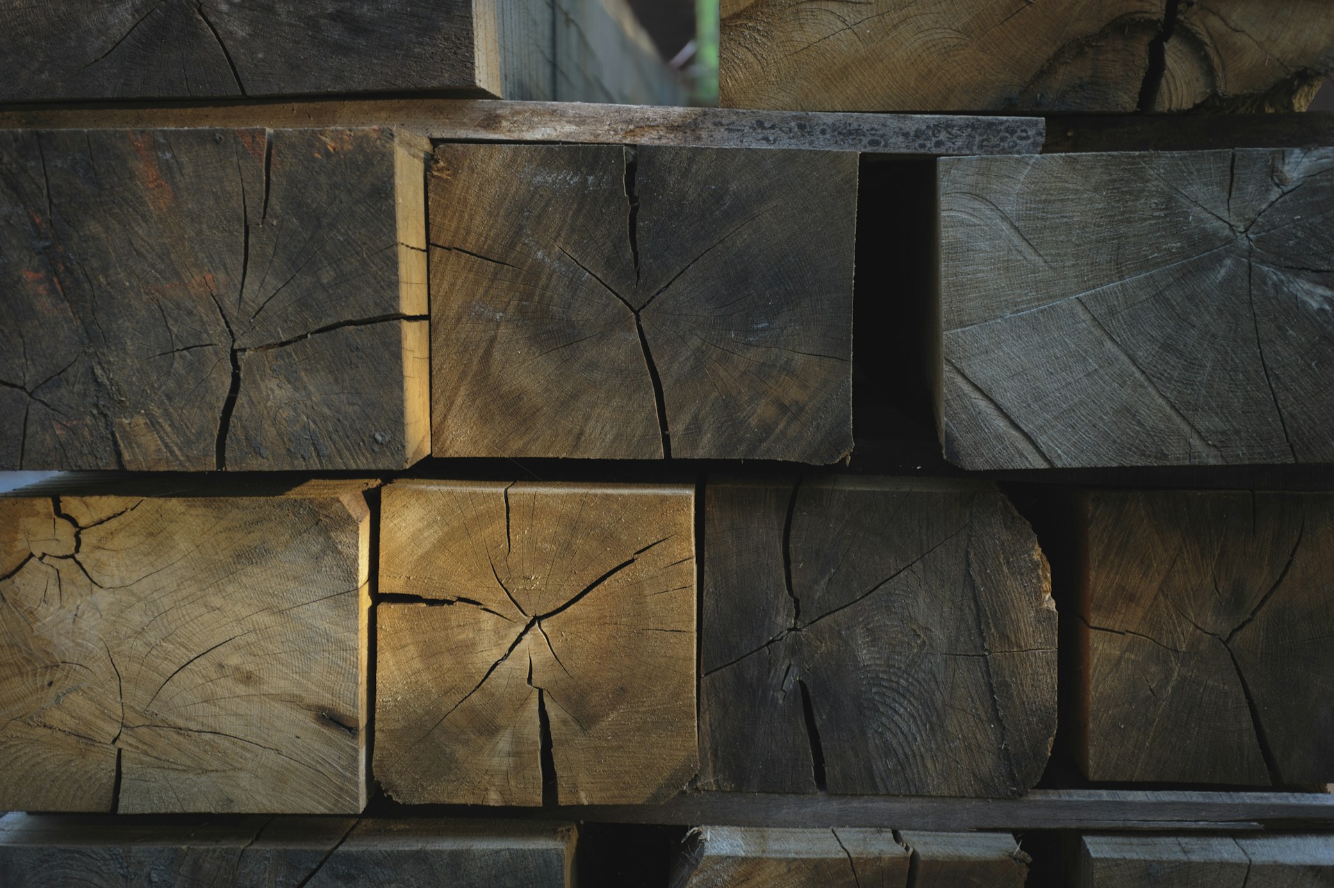 close up photography of wood lumbers