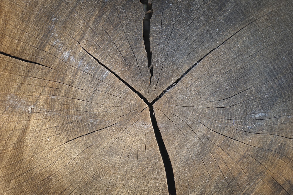 brown wooden surface