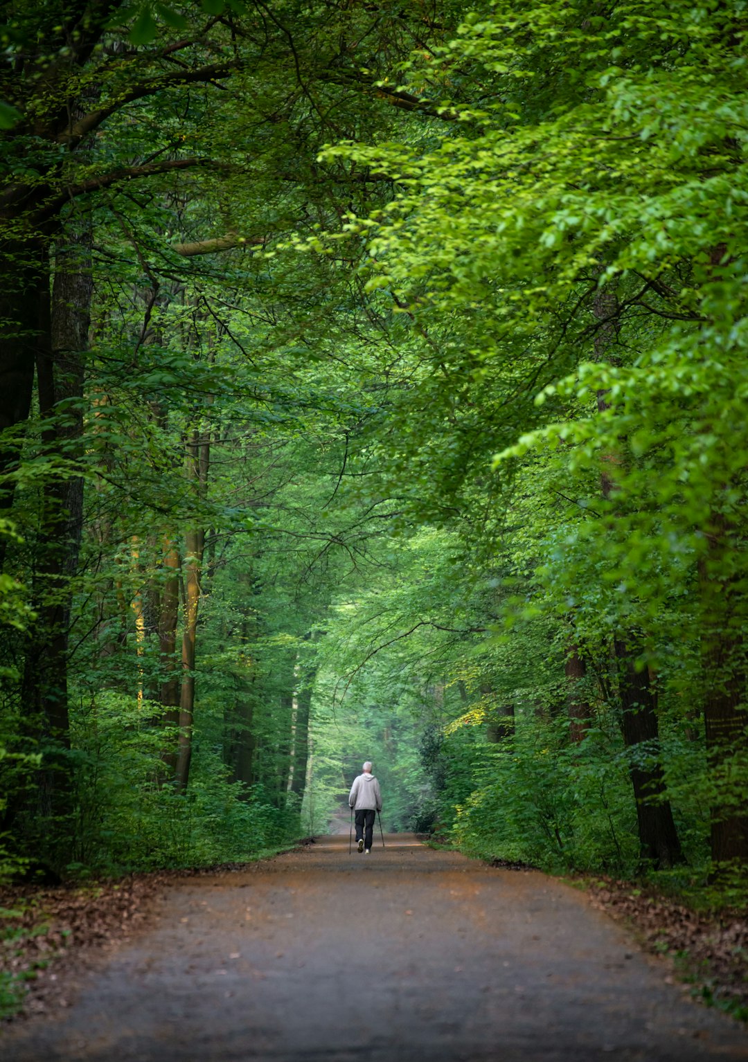 Forest photo spot Schwerte Teutoburger Wald