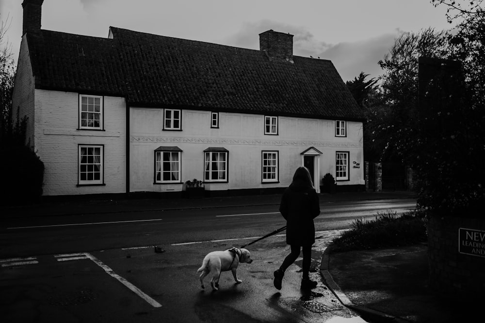 grayscale photo of woman and dog walking near street and building