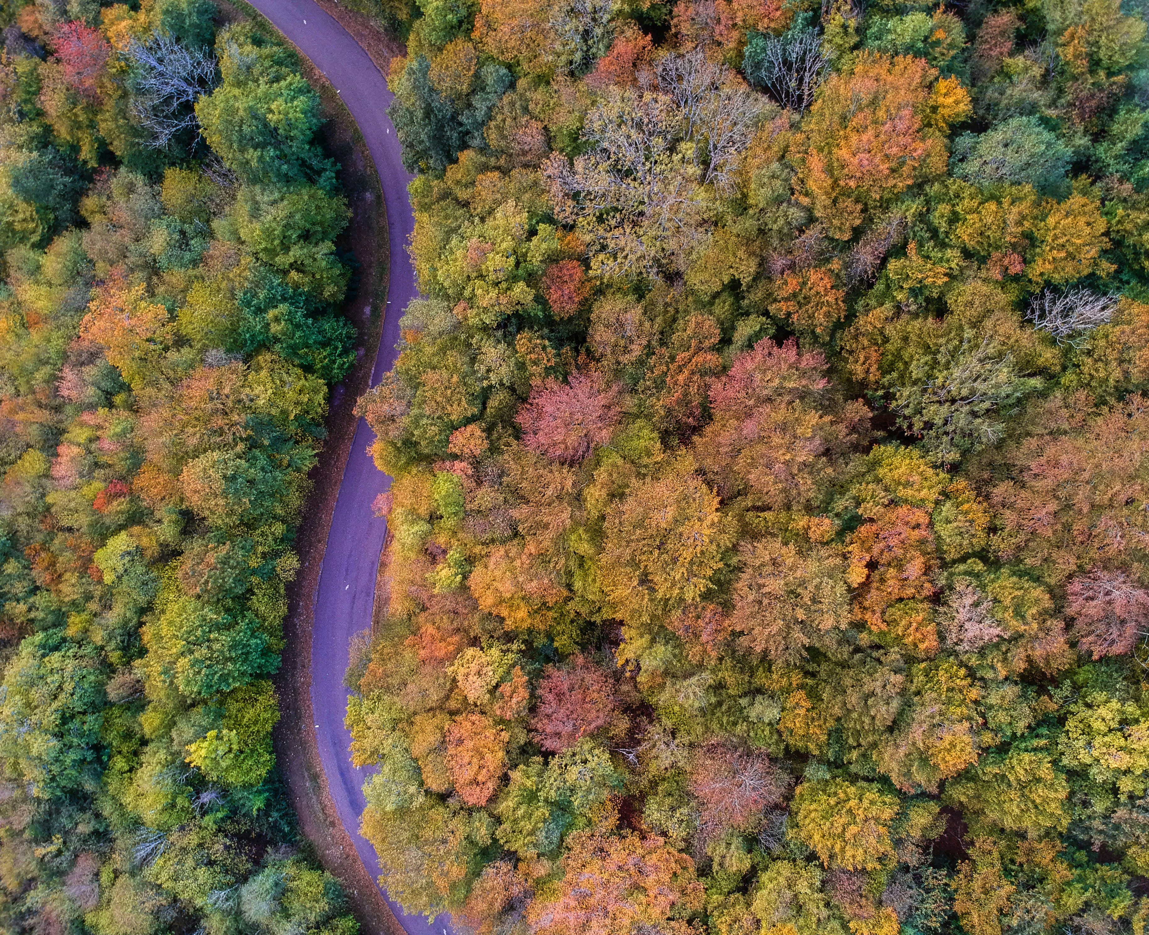 Photo by nathan030997