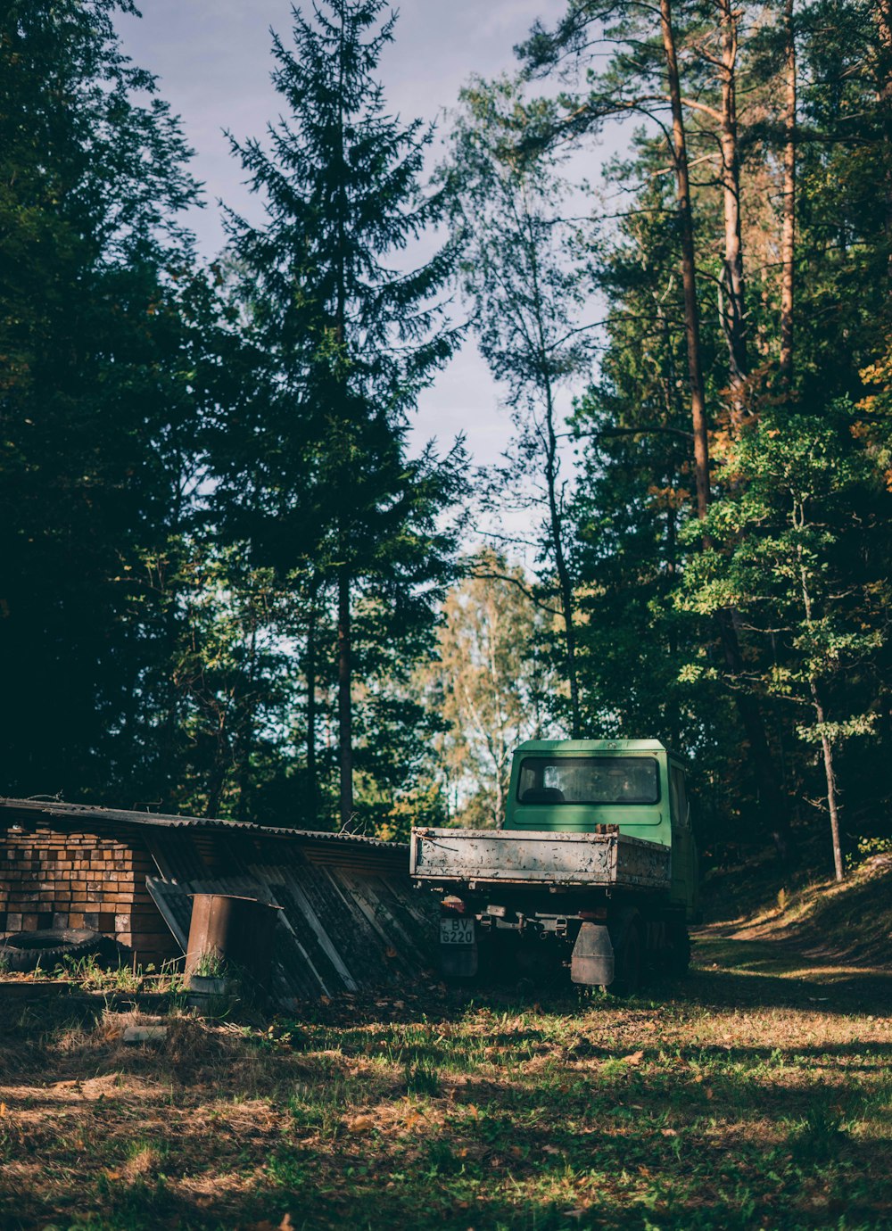 green drop-side truck parked near green trees