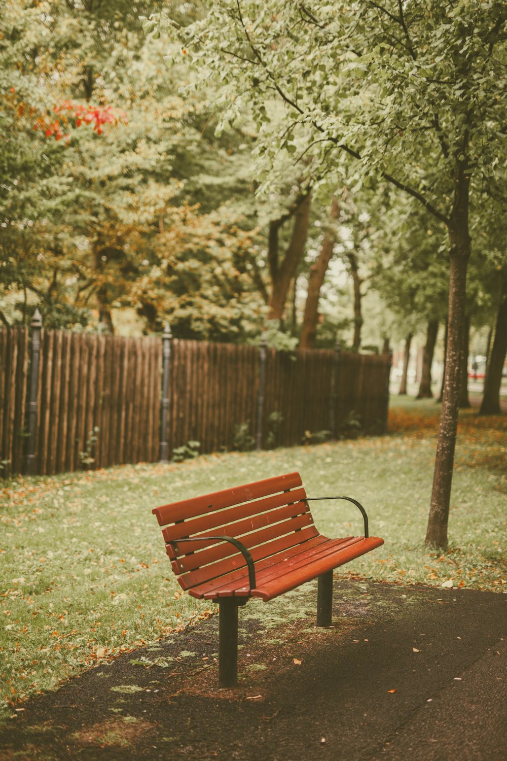 brown outdoor bench beside trees