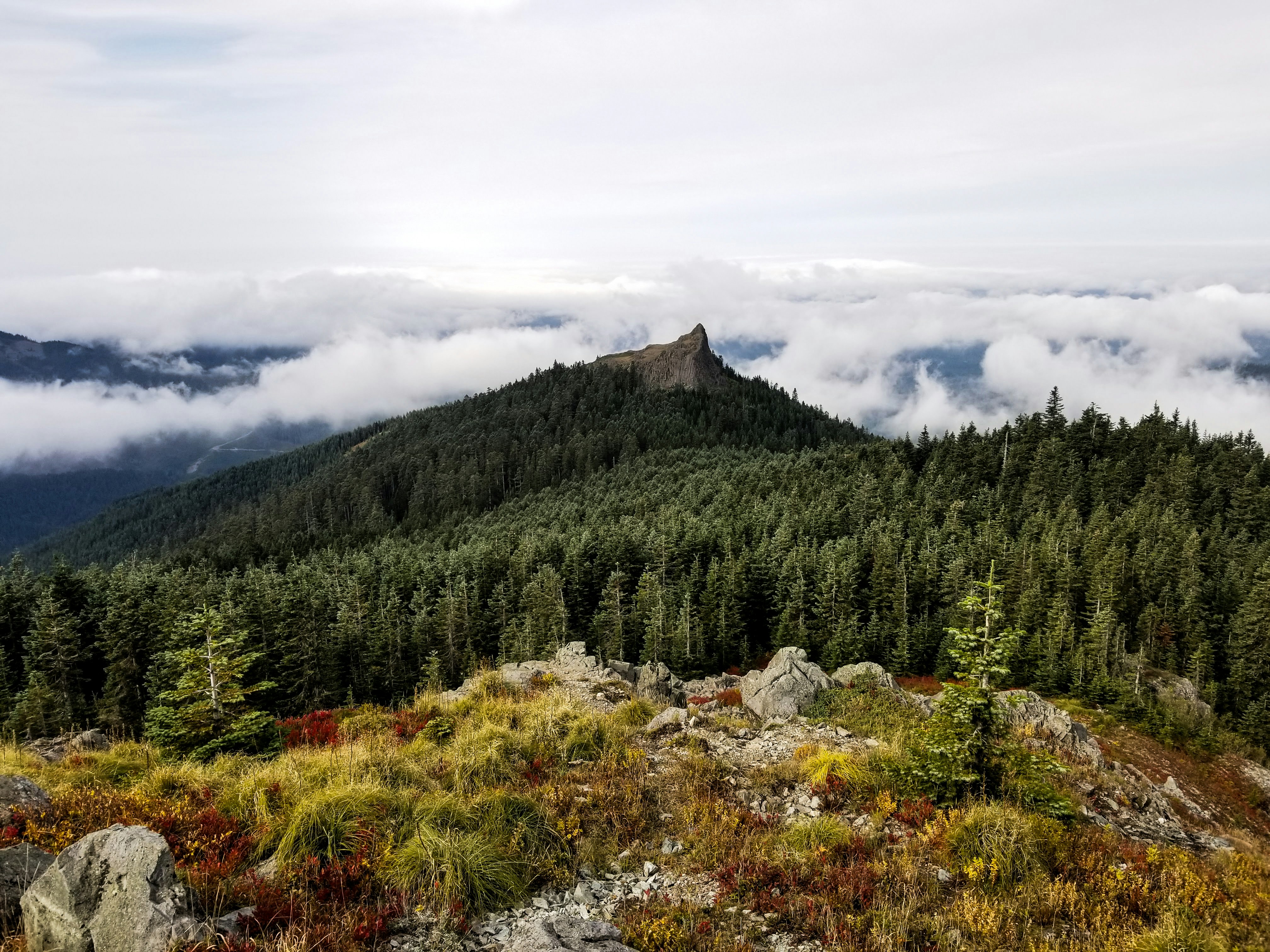 Fall has arrived. 🍁 Awesome hike yesterday up Silver Star Mountain, part of the Cascade Range in Washington. The colors of nature were absolutely gorgeous.