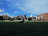 A dog lies on a grassy field in an urban park. The scene includes a backdrop of residential buildings under a partly cloudy blue sky. Several people are visible, scattered around the field, suggesting a leisurely afternoon atmosphere.