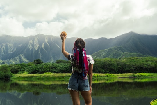 woman standing facing green thick forest during daytime in Waikīkī United States