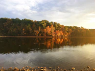 A serene lake reflecting autumn trees with golden leaves under a soft morning light.