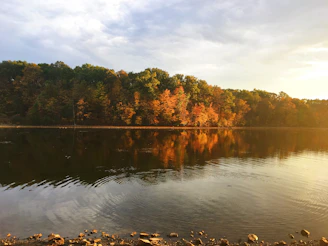 A serene lake reflecting autumn trees with golden leaves under a soft morning light.