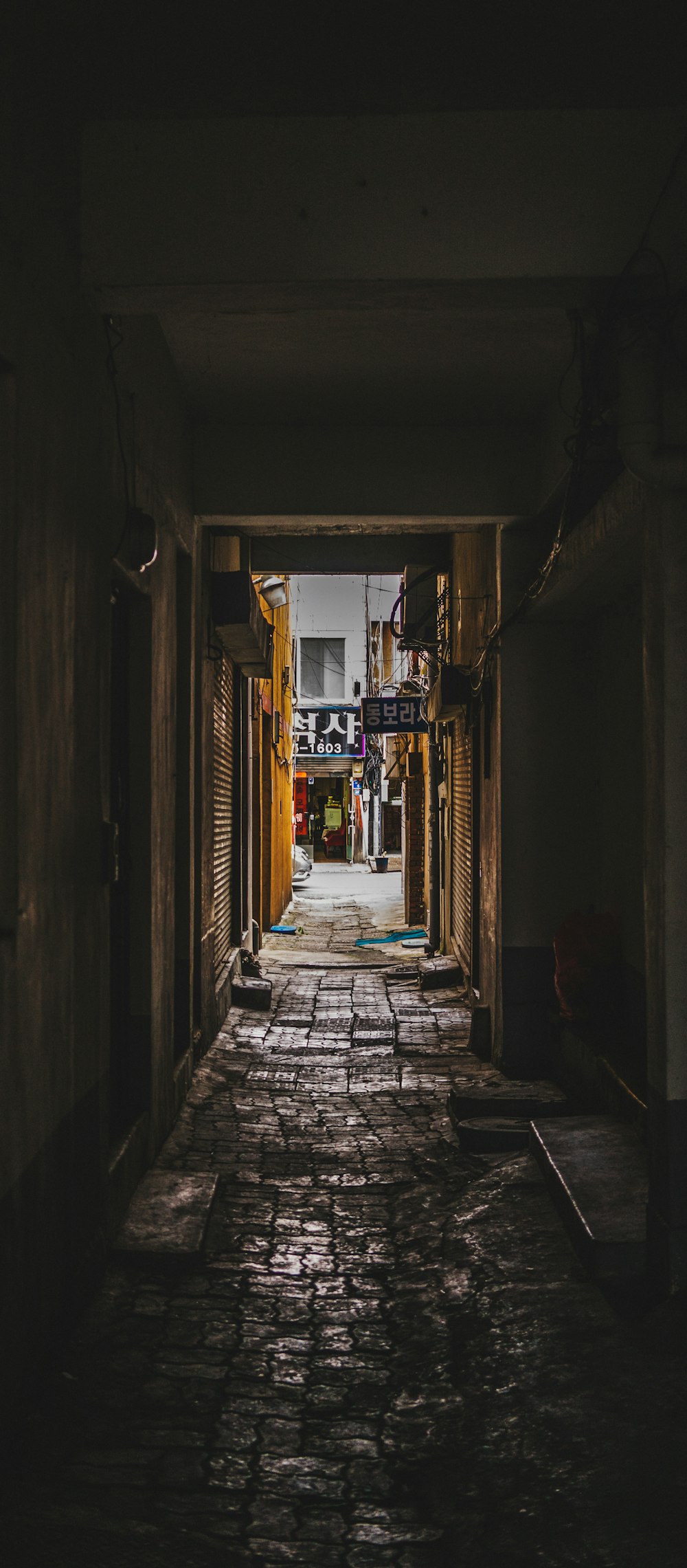 rua vazia entre casa