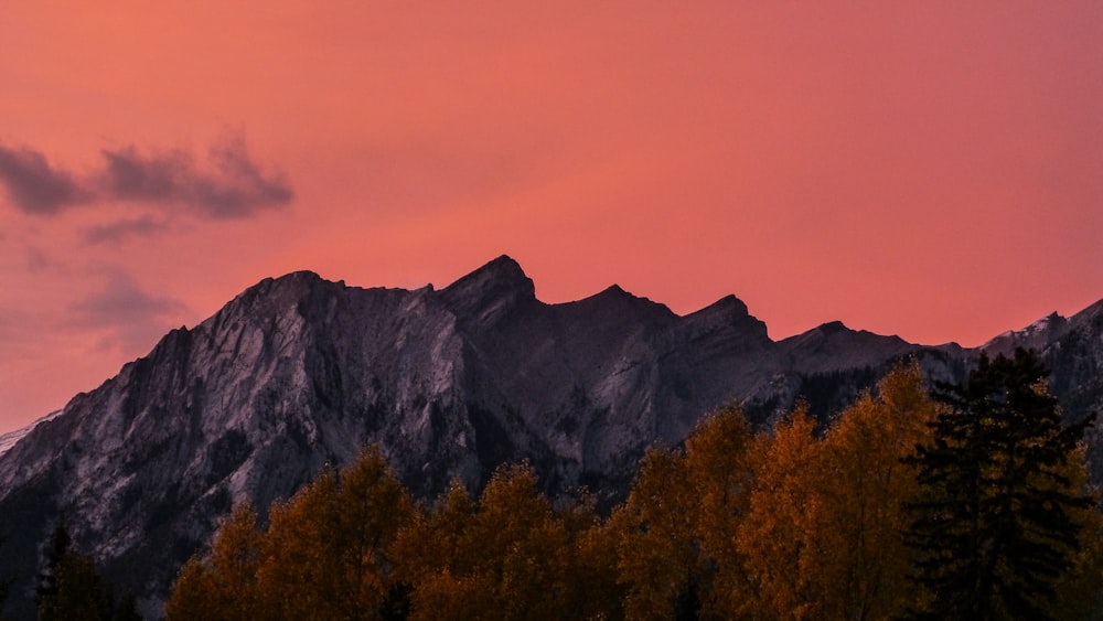 gray mountain beside trees