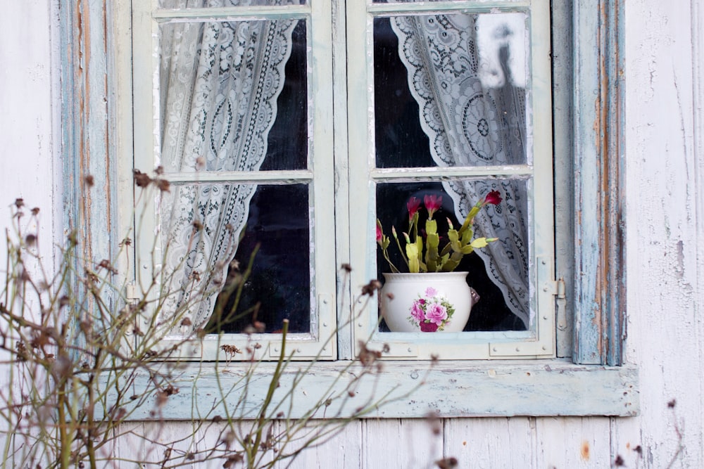 red petal flower in vase on window