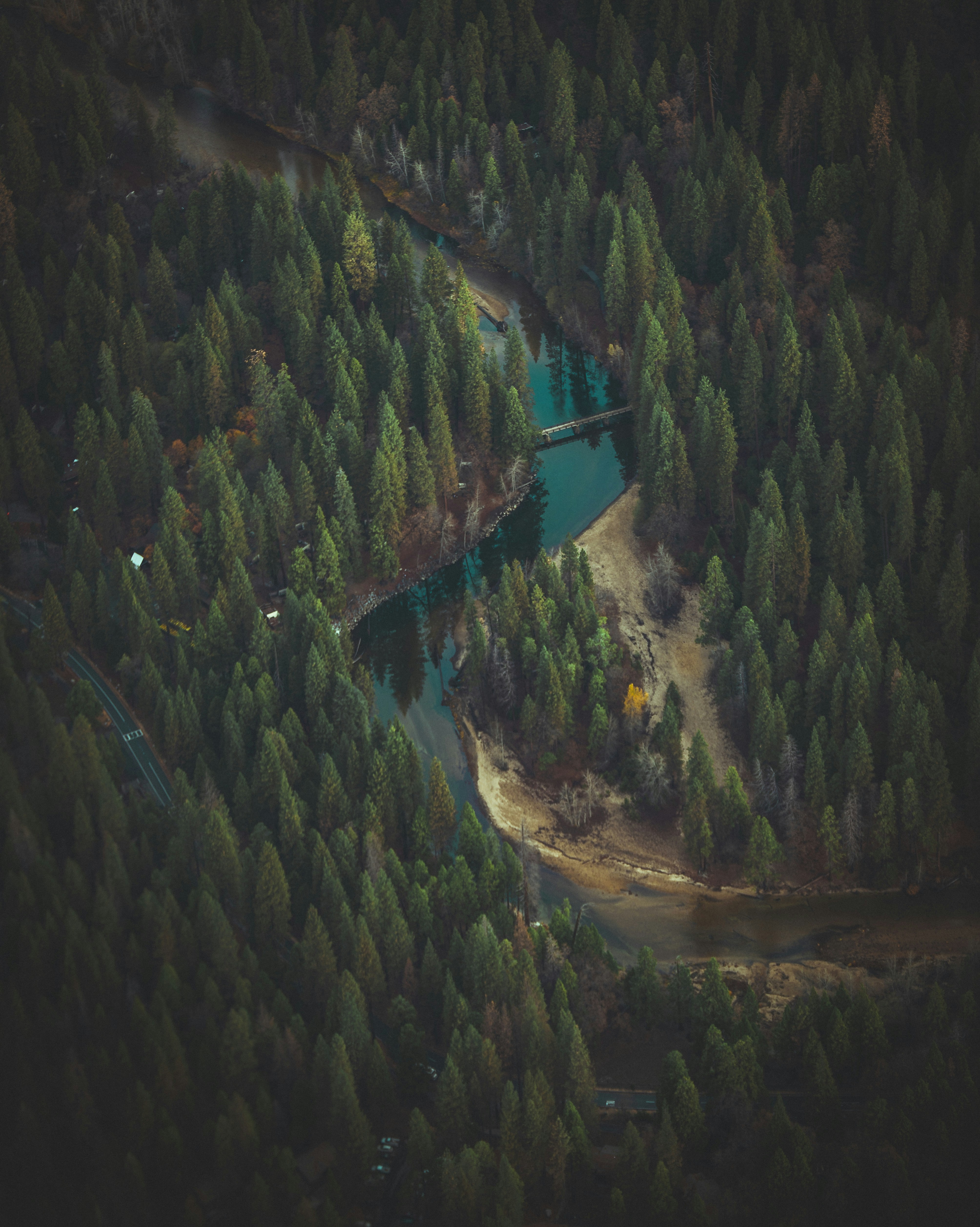 Aerial view of a winding river surrounded by dense green pine trees and autumn foliage.