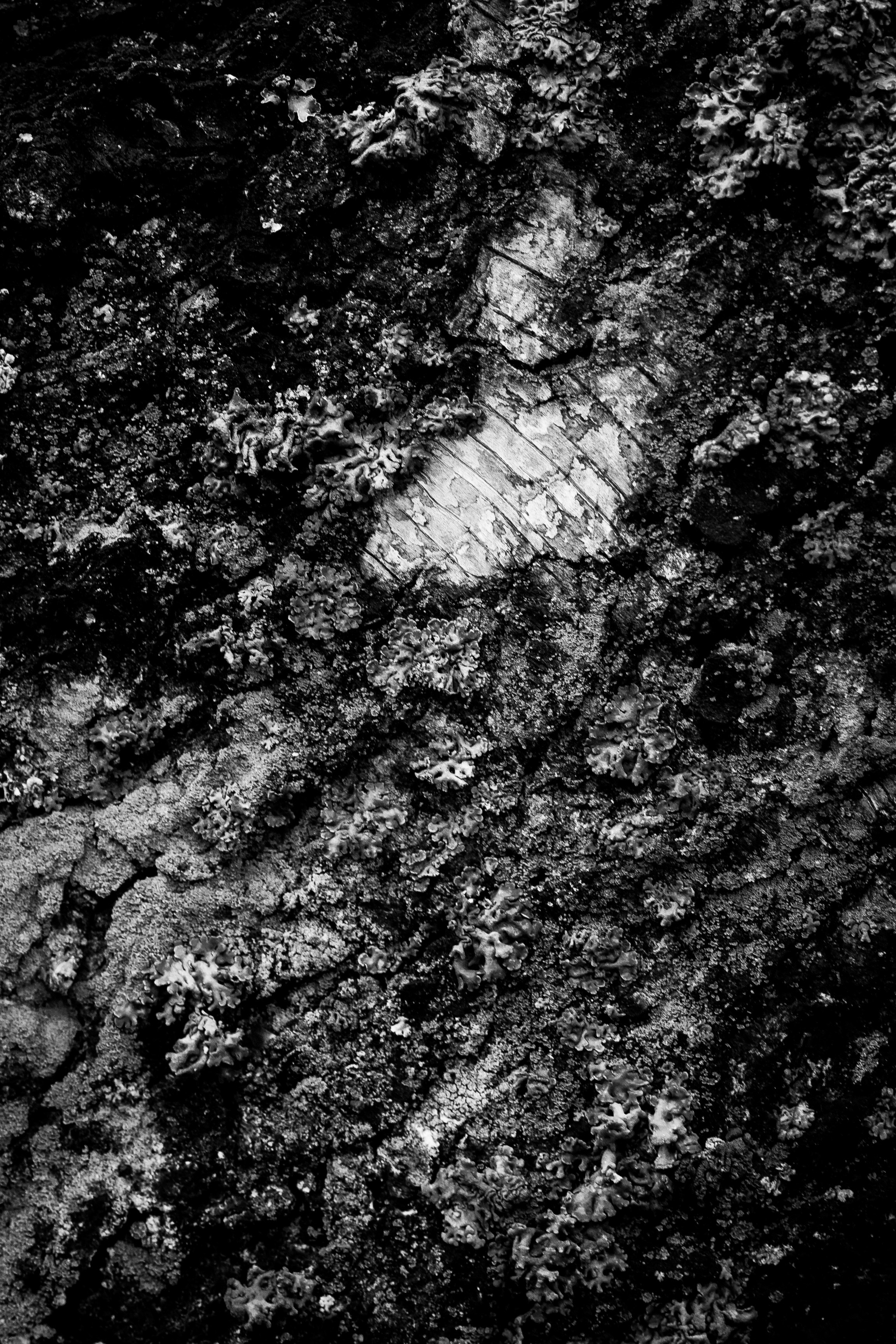 photo-1538373701853-95379473ab8b?ixlib=rb-1.2.1&ixid=eyJhcHBfaWQiOjEyMDd9&auto=format&fit=crop&w=934&q=80