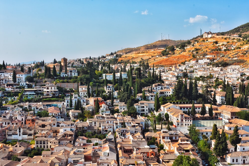 high-angle photography of city and trees