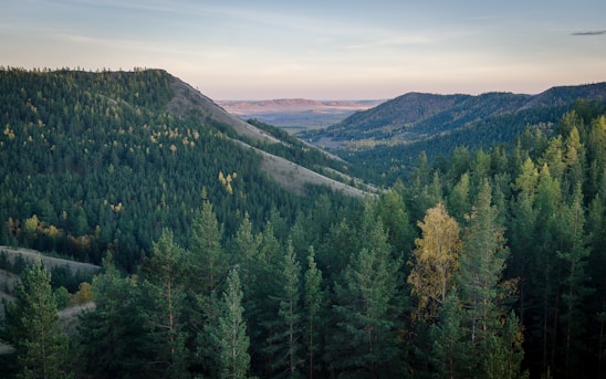 A serene Vermont landscape with rolling hills and dense forests, perfect for hunting.