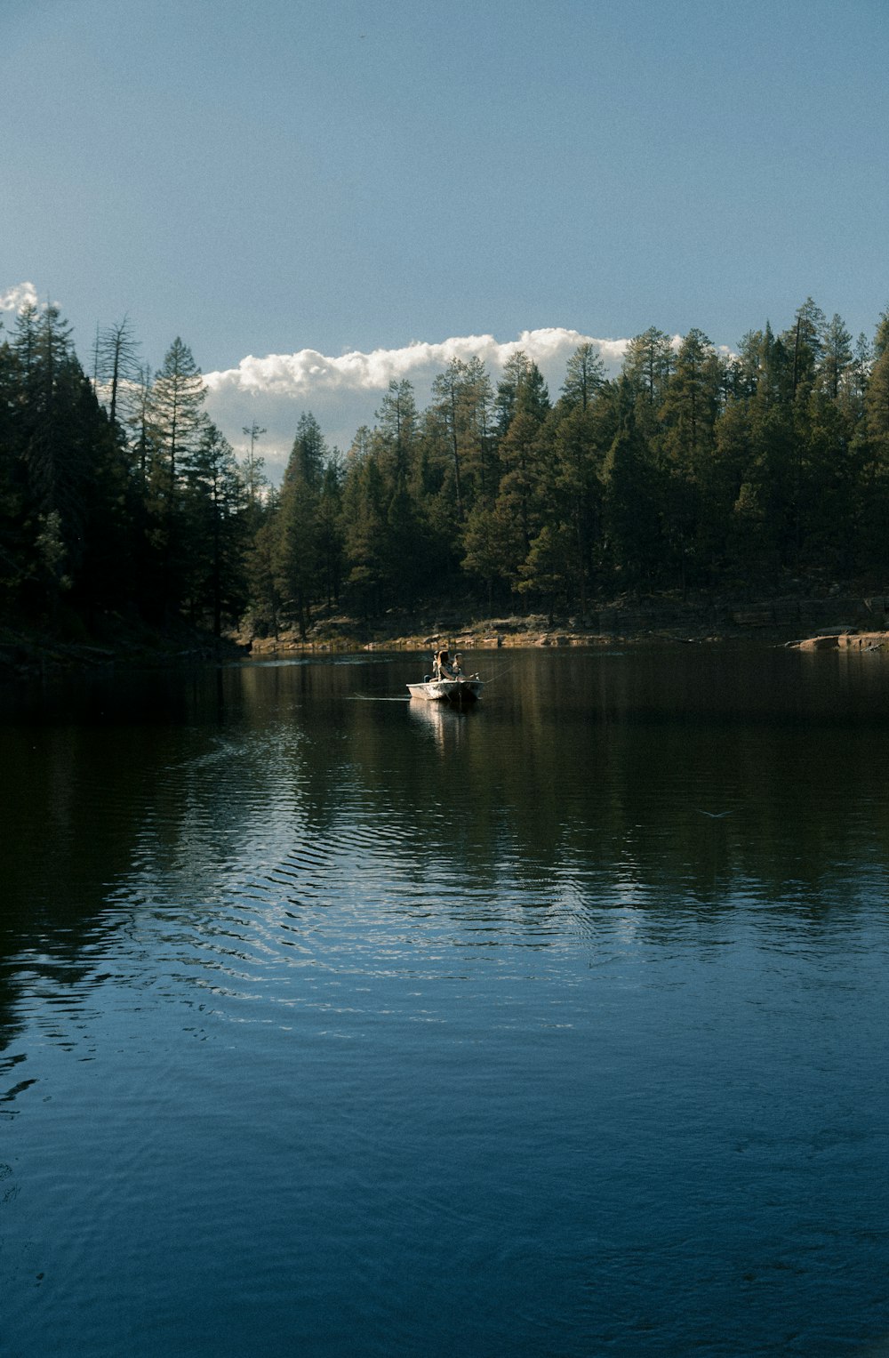 Bateau blanc près des arbres