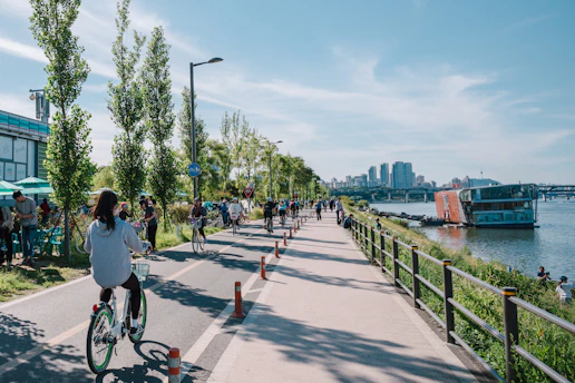 A cyclist riding through Düsseldorf's scenic riverside trail on a sunny day.