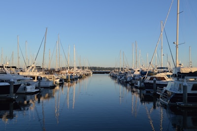Calm marina with various recreational boats docked under a clear sky.