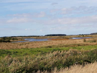 A serene landscape showing a conservation area supported by the foundation’s environmental initiatives.