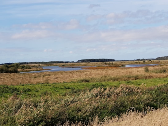 A serene landscape showcasing diverse ecosystems and research activities.