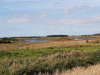 A serene landscape featuring a wetland area with a mixture of grasslands and water bodies. The horizon is lined with distant trees under a partly cloudy sky, creating a tranquil and open atmosphere.