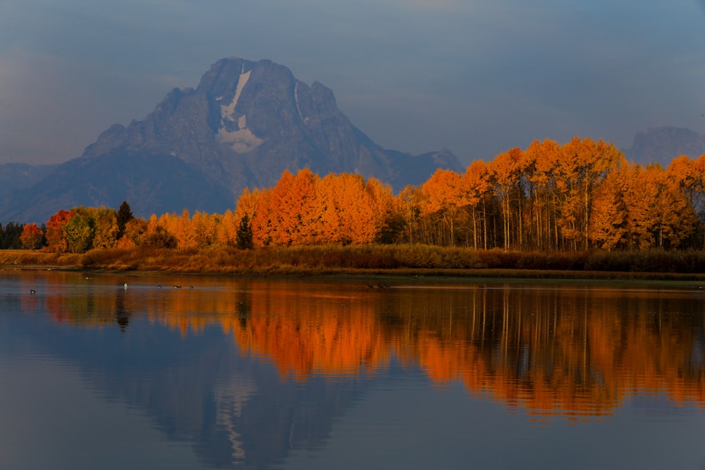 landscape photography of mountains and lake