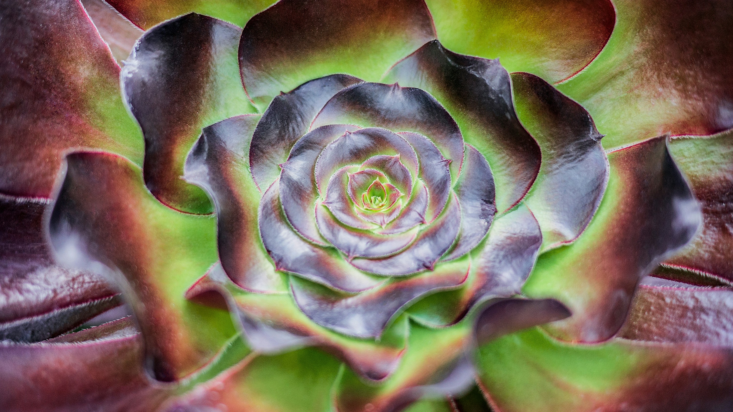 Photo by phienix_han