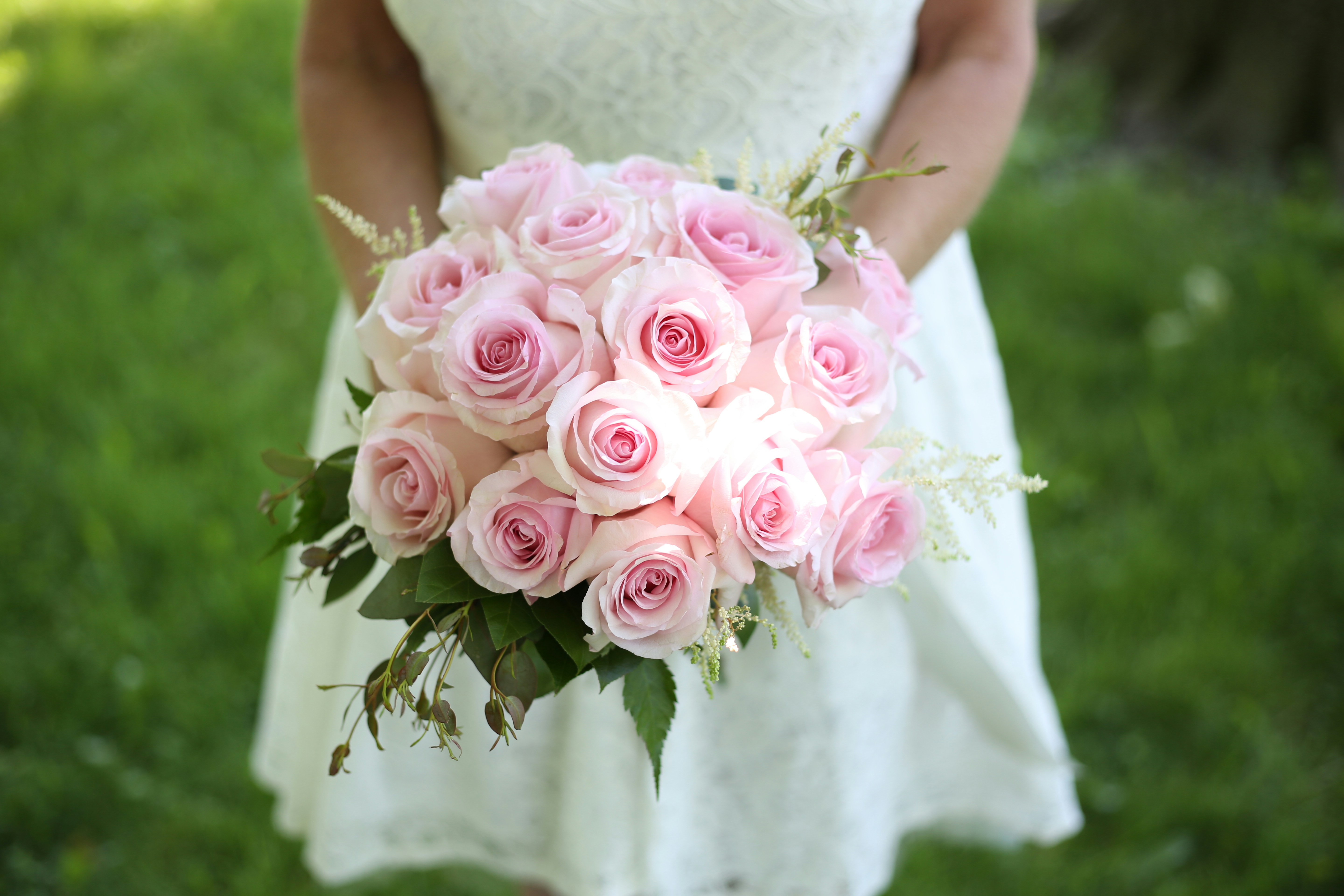 Photo by kdohring2018