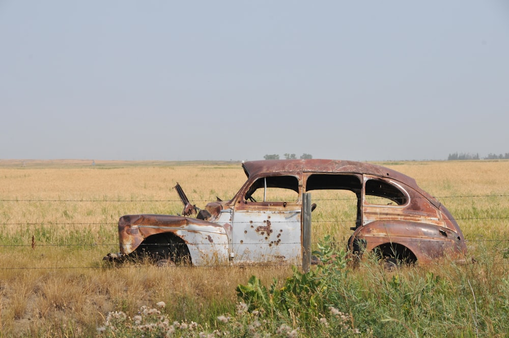 brown car on grass field