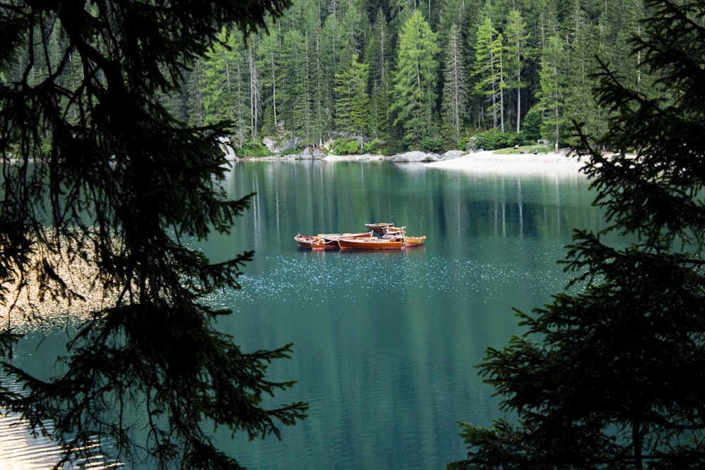 Bateau brun sur la rivière entouré d’arbres à feuilles vertes pendant la journée