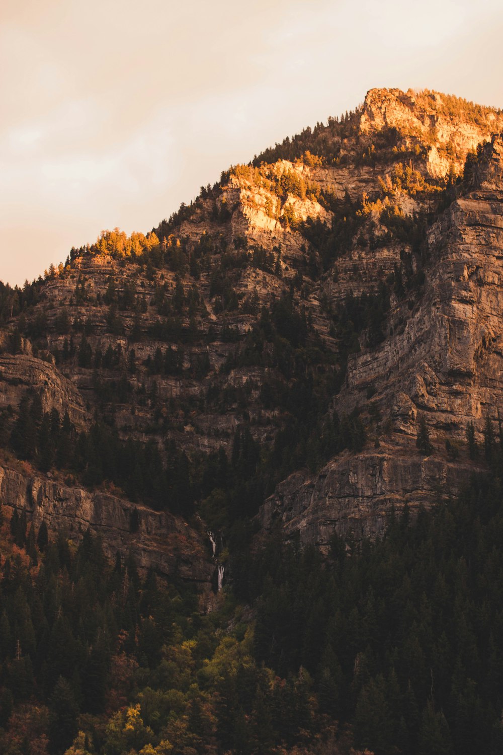 brown and green mountains at daytime