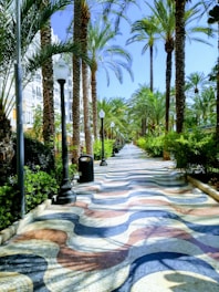 multicolored concrete street surrounded with trees