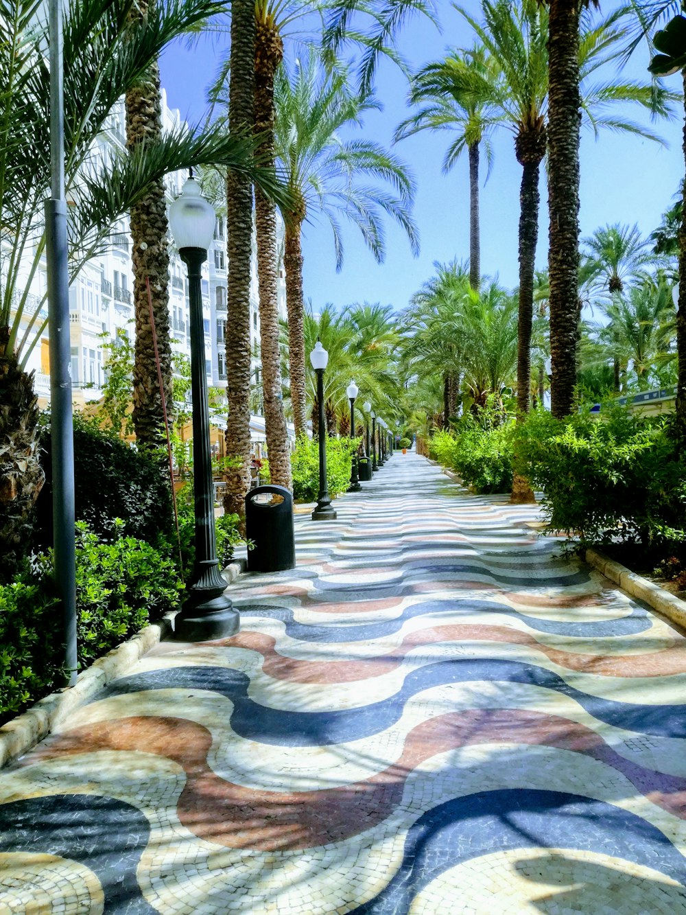 multicolored concrete street surrounded with trees