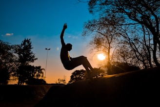 A silhouette of a skateboarder mid-action against a sunset backdrop, with trees and a lamppost in the background.