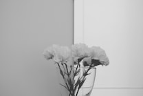 A minimalist black and white photograph featuring several white carnations placed in a clear glass vase. The background is light and unadorned, enhancing the simplicity and elegance of the composition.