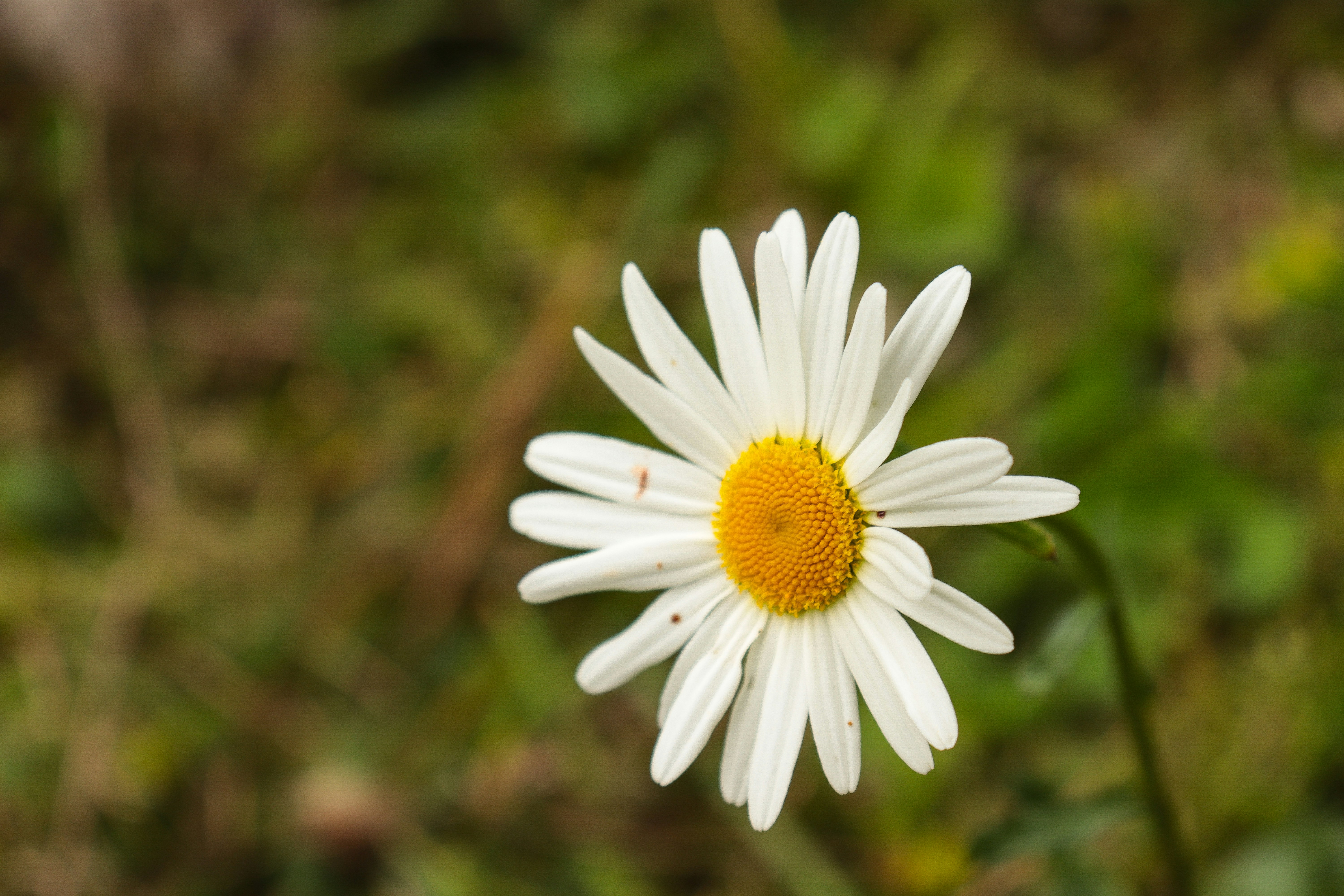 Photo by riccardofarinazzo