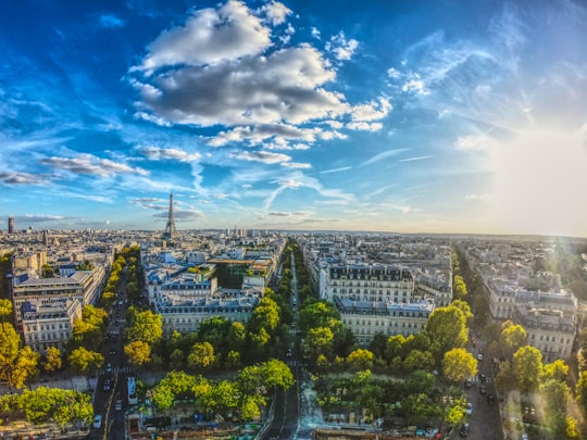 aerial photography of buildings surrounded with trees in Arc de Triomphe France