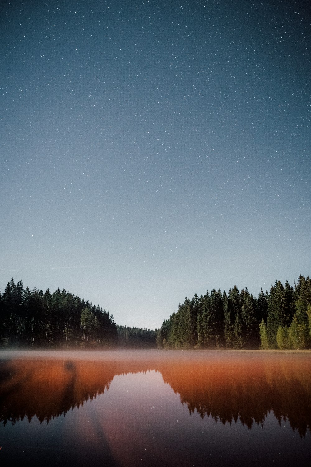 body of water near trees during daytime