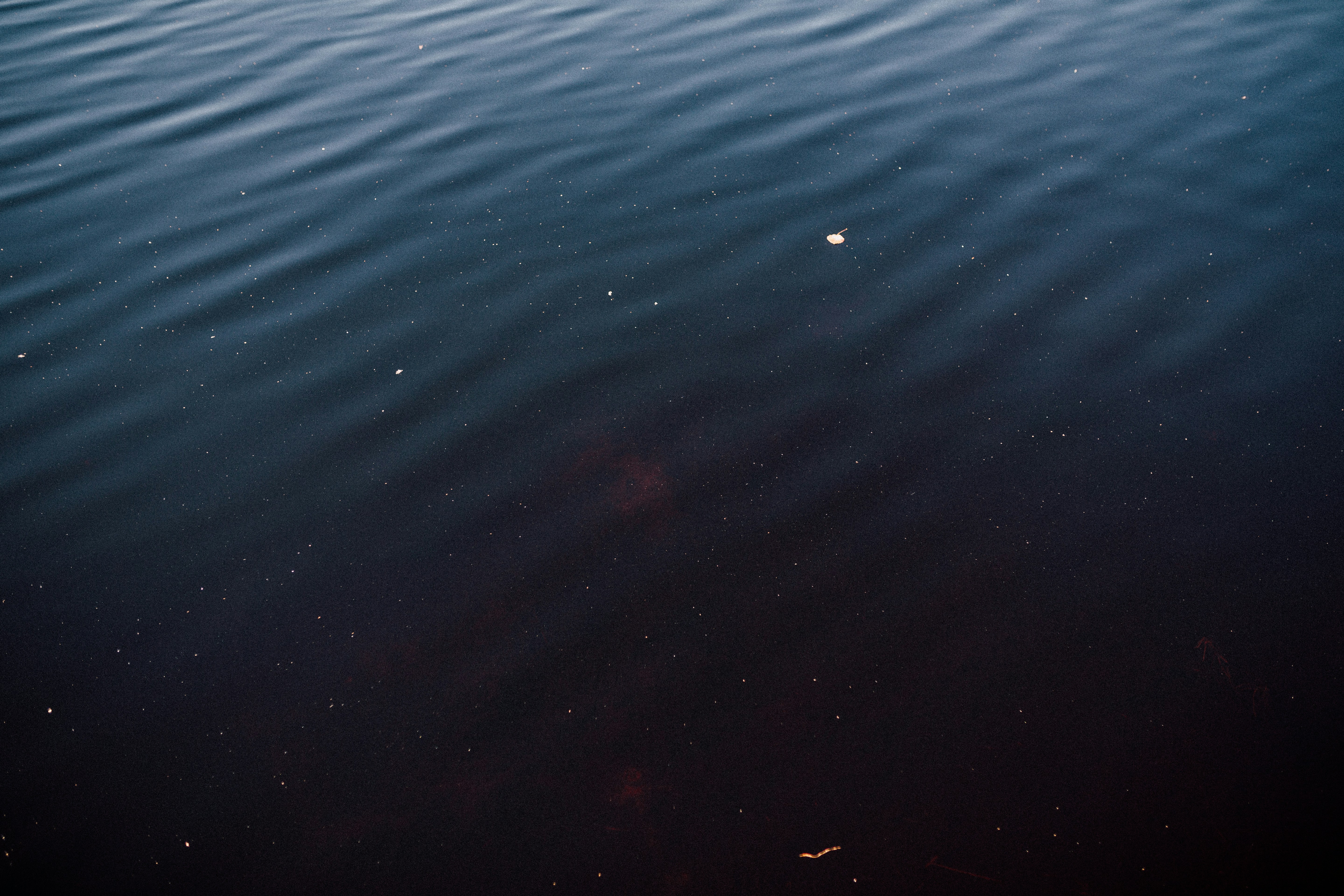 Photo by adrian_infernus