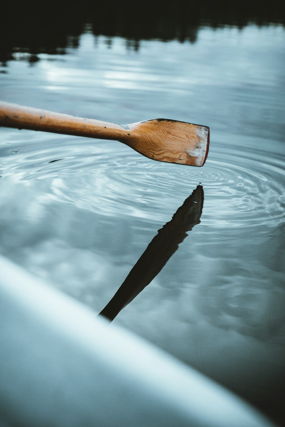 brown boat paddle touching on body of water