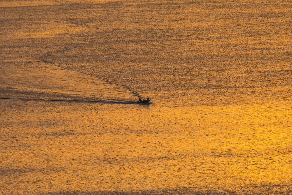 silhouette photography of person sailing on boat