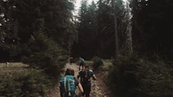 A family hiking together along a forest trail surrounded by tall pines.