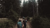 A group of friends hiking on a forest trail with backpacks.