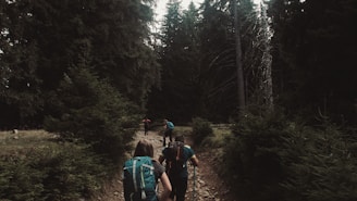Campers hiking along a forest trail with backpacks and handcarts.