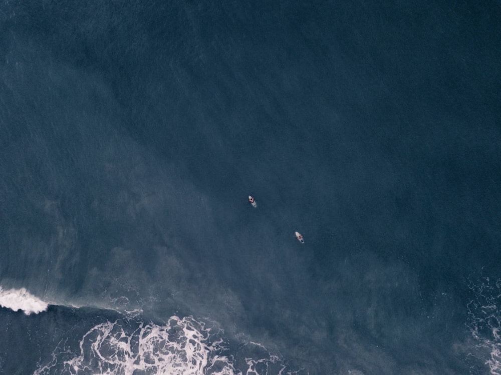 바다의 파도 위에 타고 있는 두 사람