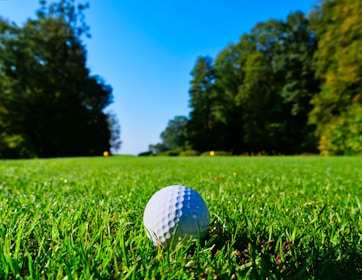 A golf ball sits on a lush green field surrounded by trees under a clear blue sky. The sunlight casts a warm glow over the landscape, emphasizing the vibrant colors of the grass and foliage.
