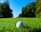 A golf ball sits on a lush green field surrounded by trees under a clear blue sky. The sunlight casts a warm glow over the landscape, emphasizing the vibrant colors of the grass and foliage.