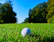 A happy golfer holding a golf ball near a lush green fairway under a clear blue sky.