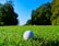 A golf ball sits on a lush green field surrounded by trees under a clear blue sky. The sunlight casts a warm glow over the landscape, emphasizing the vibrant colors of the grass and foliage.