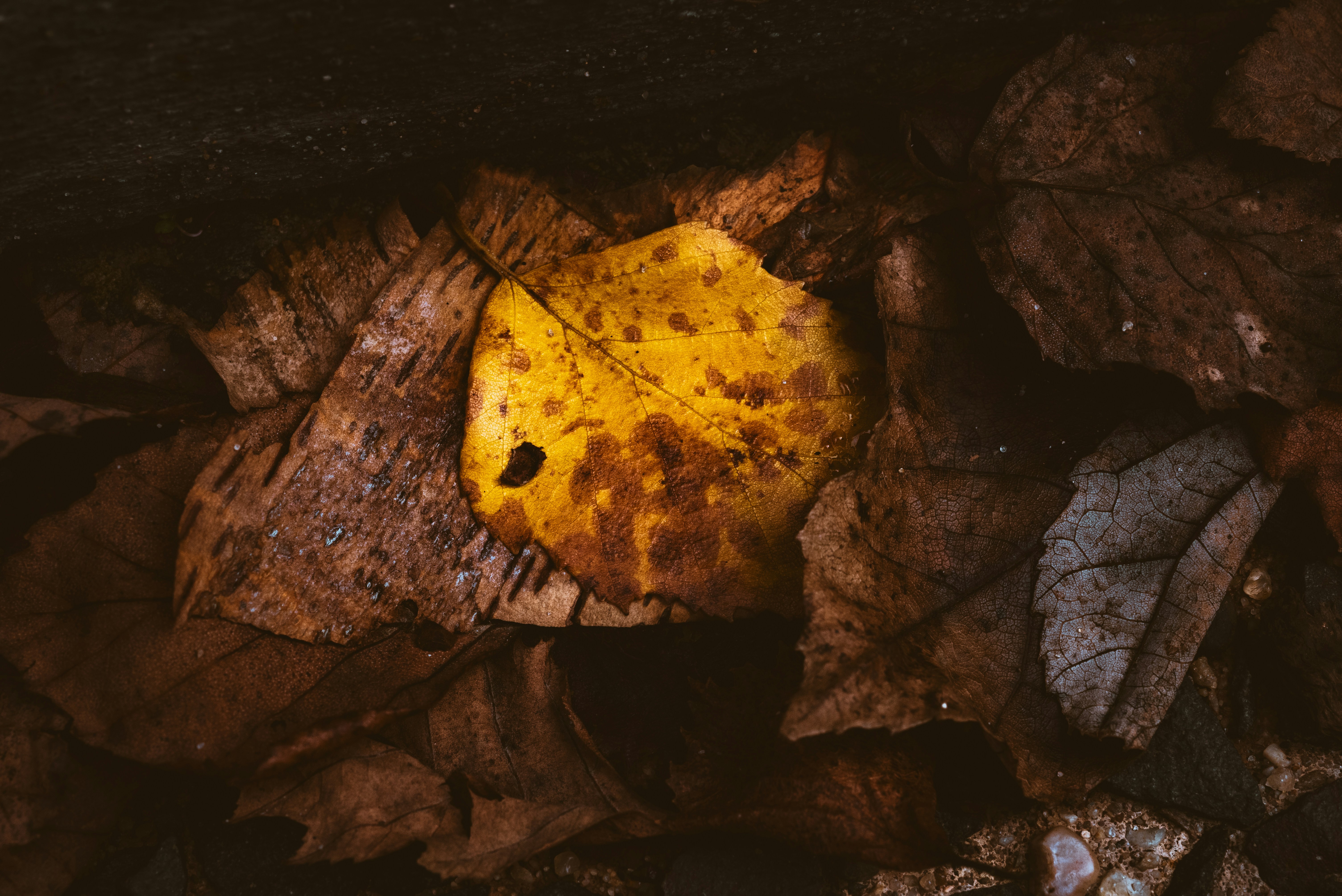 Photo by _christianlambert